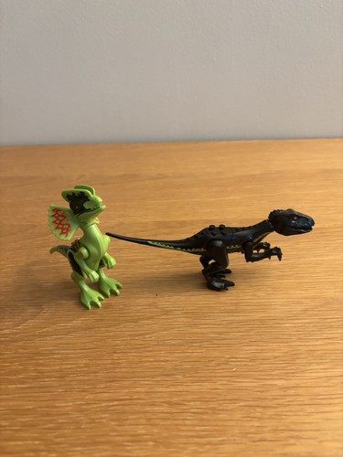 Dinosauri personalizzati